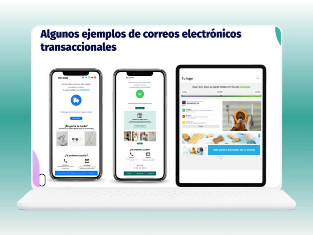 Enviar Paquetes Baratos EBEP EXPRESS HAITI